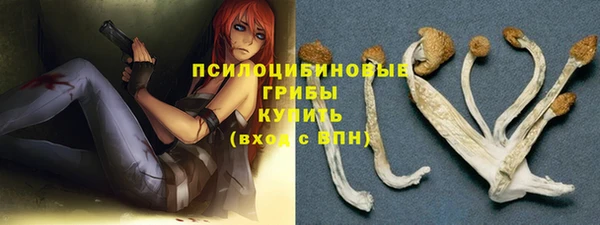 мескалин Осинники