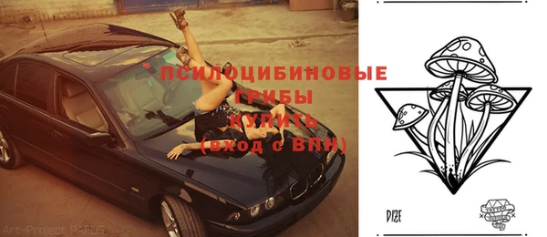 мяу мяу кристалл Переславль-Залесский