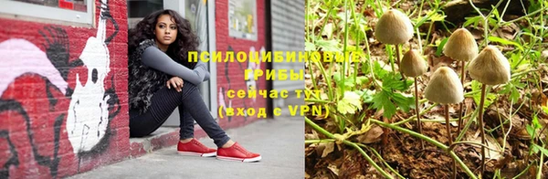 прущий лед Пестово