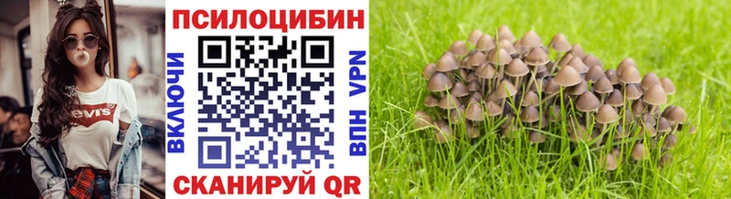 хочу наркоту  Спас-Деменск  Галлюциногенные грибы прущие грибы 